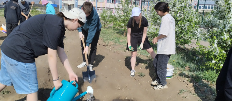 Новости с пришкольного участка!.